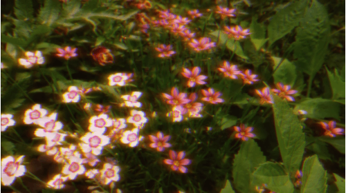 鏡の中の自分が夢を見...